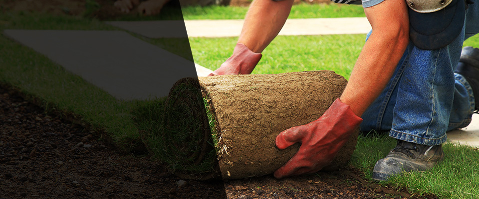 Norwalk Landscapers